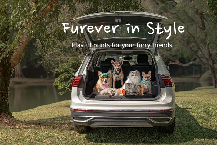 Furever in Style